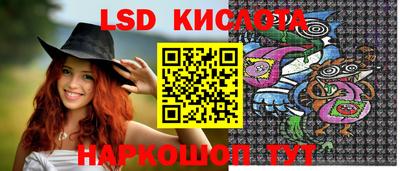 гашик Новозыбков