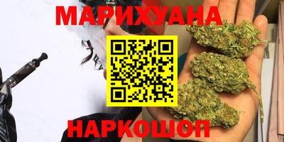 гашик Новозыбков