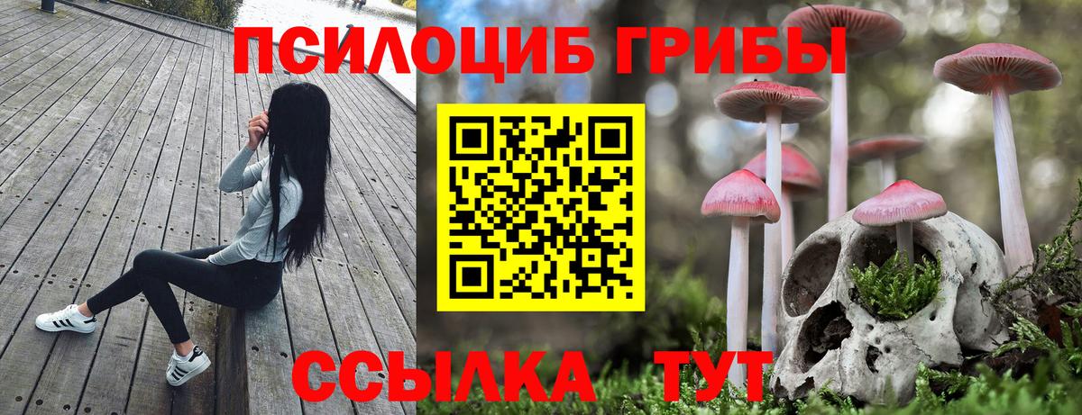 Галлюциногенные грибы GOLDEN TEACHER Барабинск